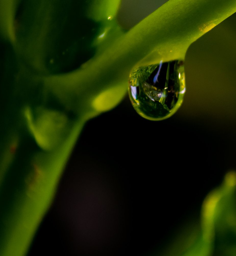 Photograph by Aleksandar