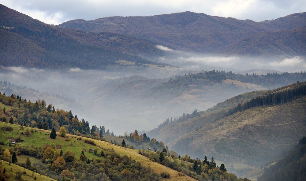 Карпаты