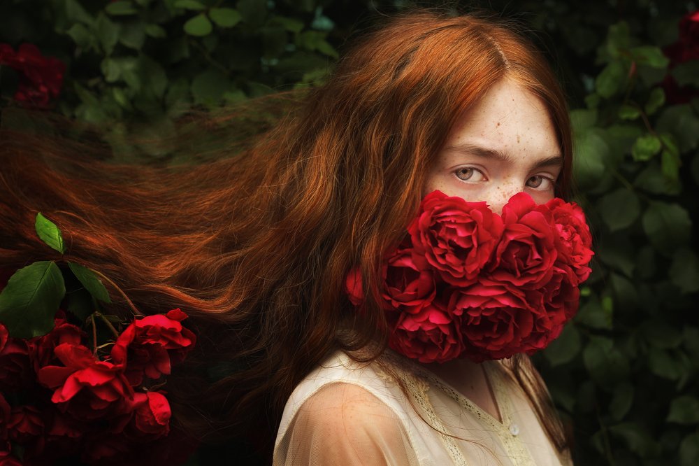 Photograph by Инна Донцова