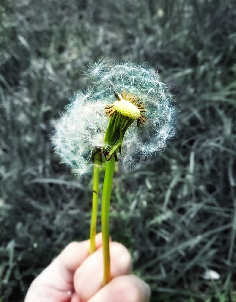 Photograph by Ирина Неруш