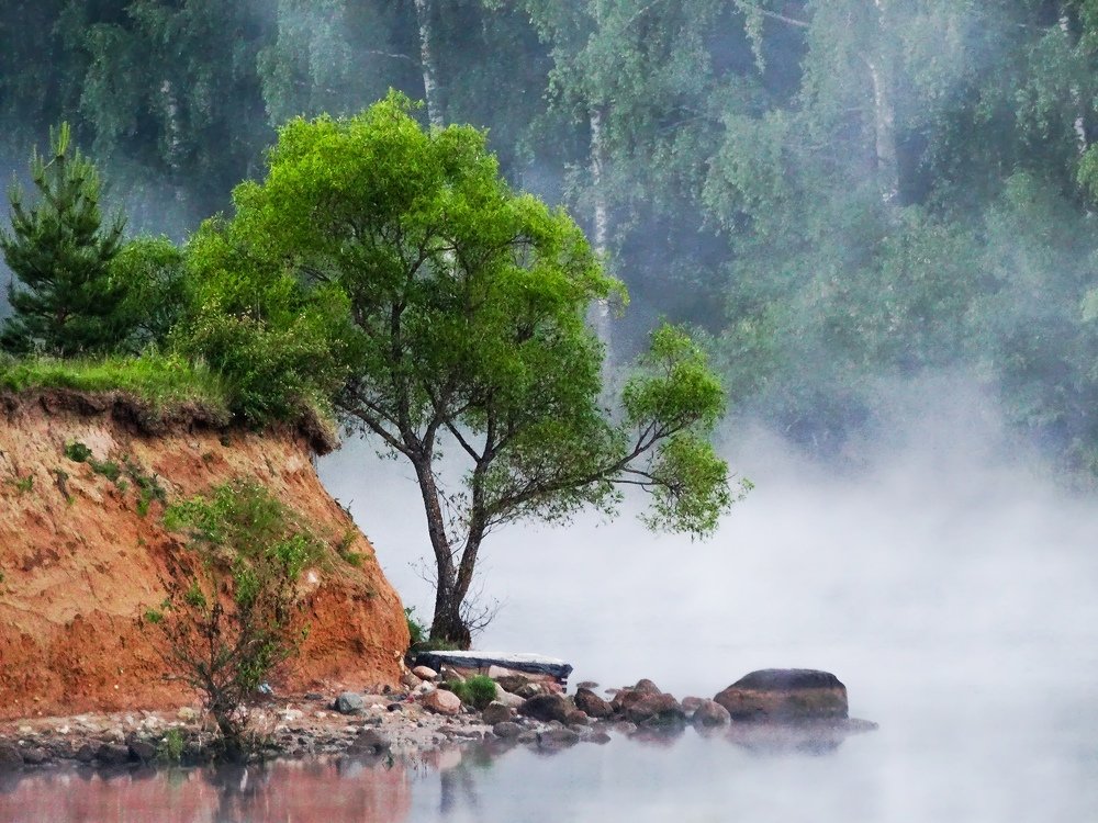 Photograph by Алексей Глухов