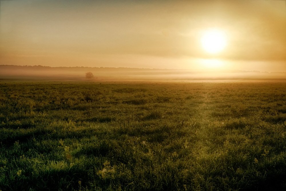 Photograph by Пётр Калачев