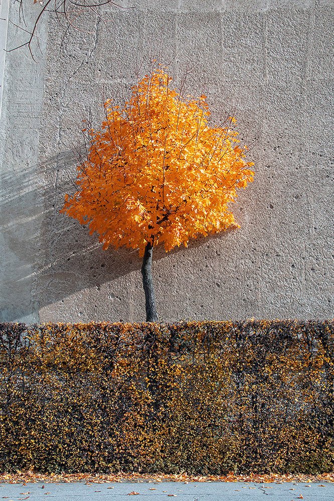 Photograph by Nino Mghebrishvili
