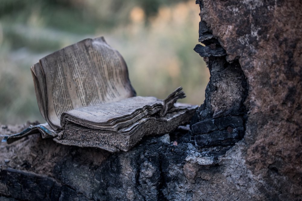 Photograph by Наталья Радионова