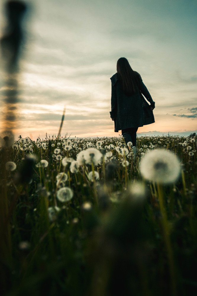 Фотография автора Adrian Bodale