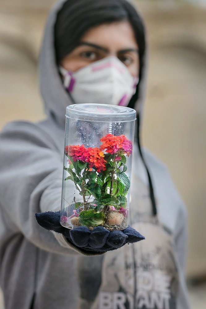 Фотография автора ziba alirezaei58