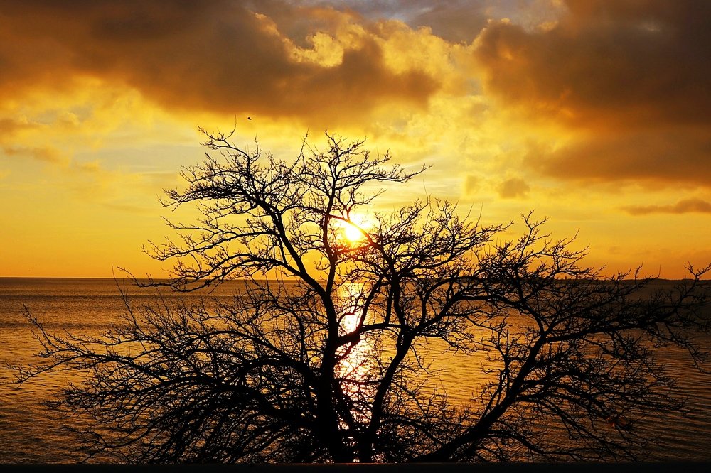 Photograph by Олег Башкуров