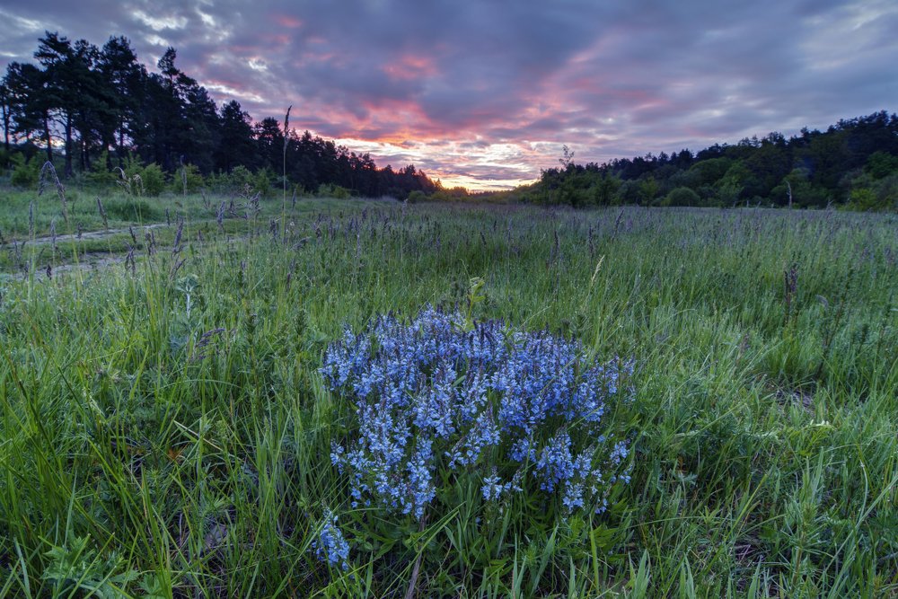 Photograph by Наталия Мостовая