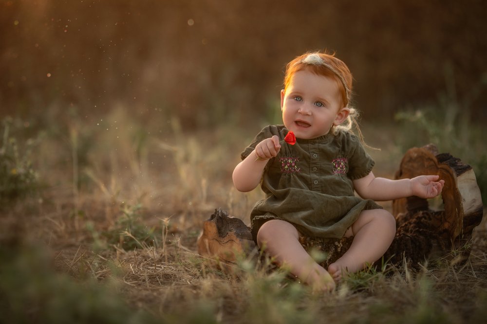 Фотография автора Osher Eden pashinsky