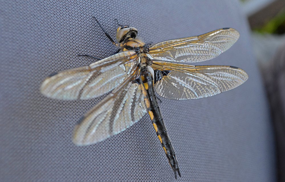 Photograph by Светлана Ковалёнок