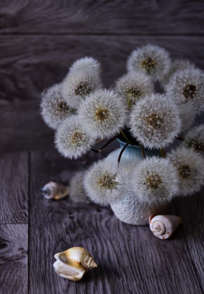 Photograph by Ирина Никульча