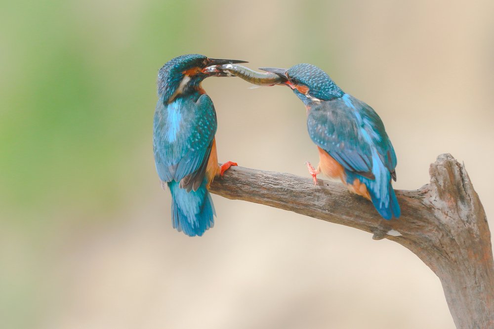 Photograph by Piotr Warzecha