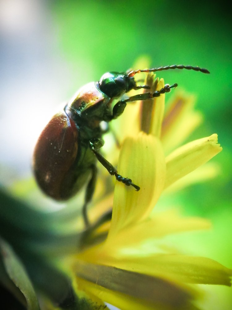 Photograph by Мардарь Татьяна