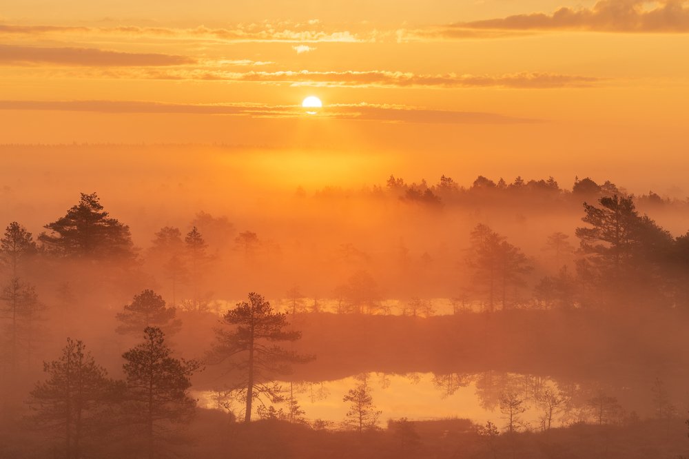 Photograph by Элвис Антсон