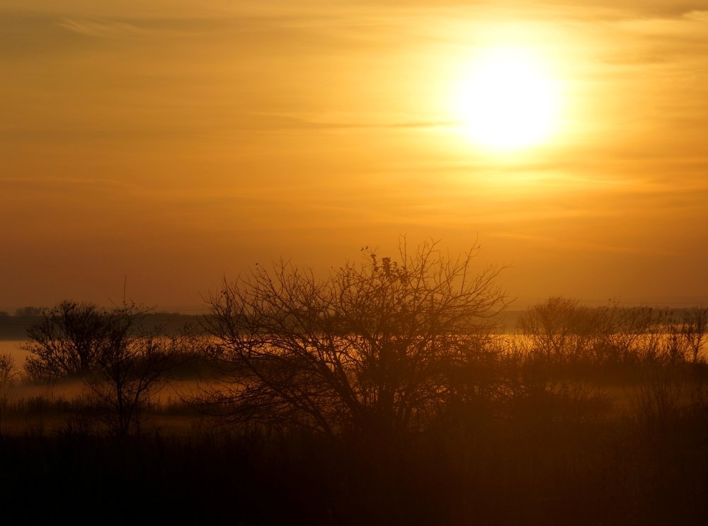 Photograph by Ксения Лычак