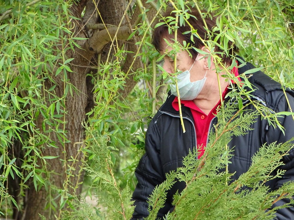 Photograph by Марина Цекова