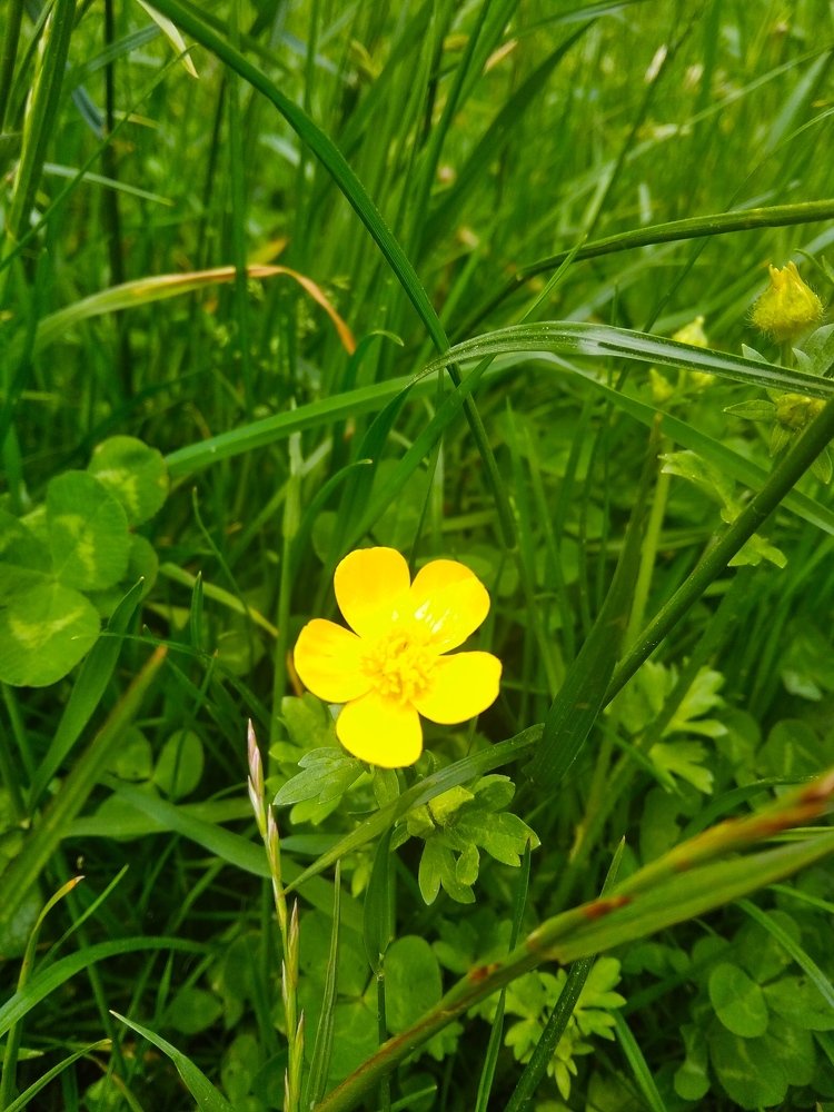 Photograph by Руслан