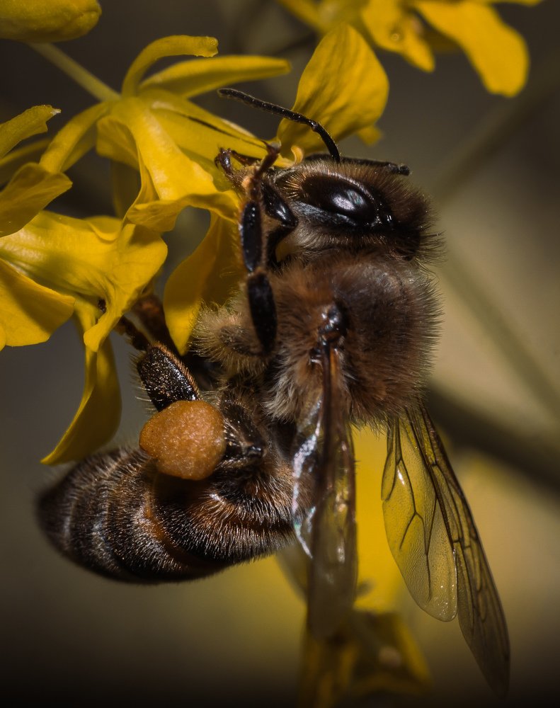 Фотография автора Константин Яковлев