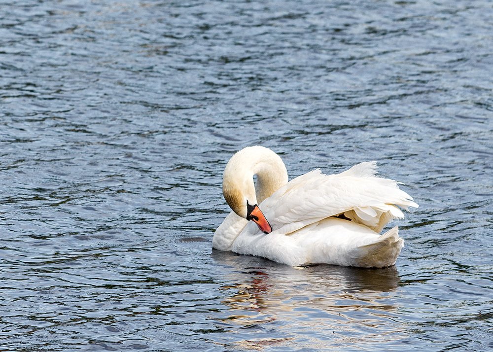 Photograph by Sergey L