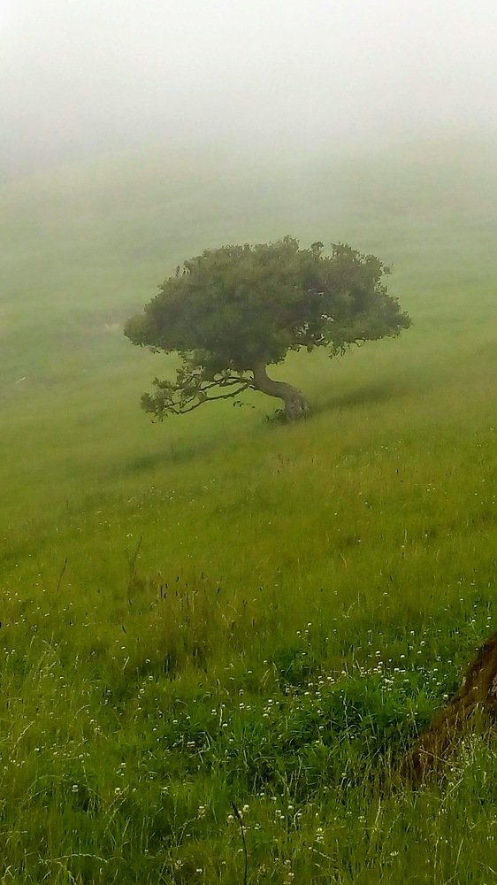 Photograph by Medina Guevara