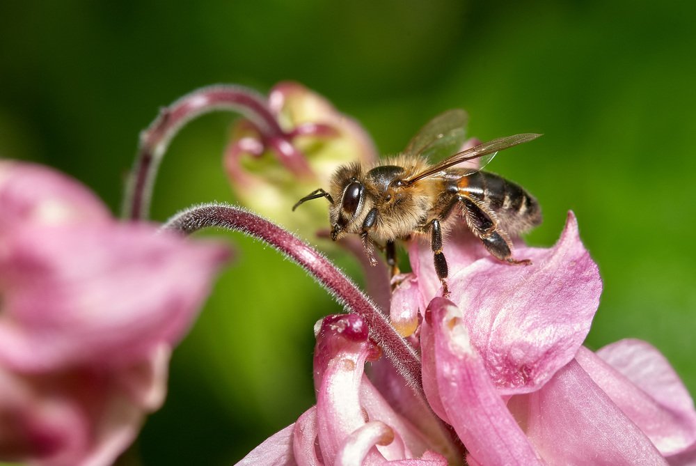 Photograph by Константин Усов