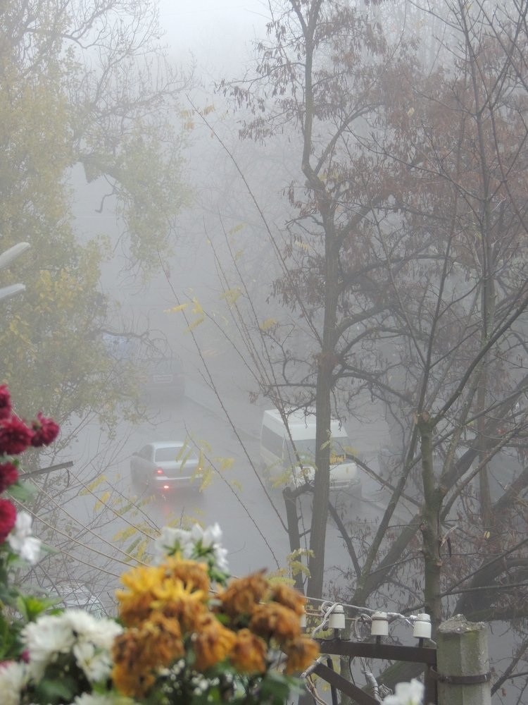 Photograph by Юрий Тихонов