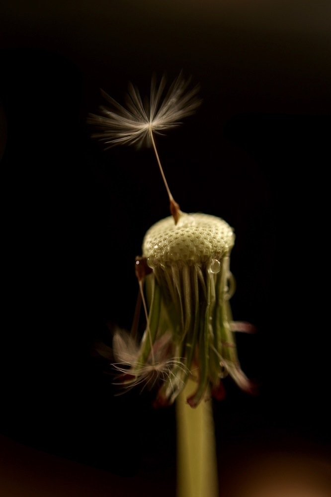 Photograph by Екатерина Мосунова