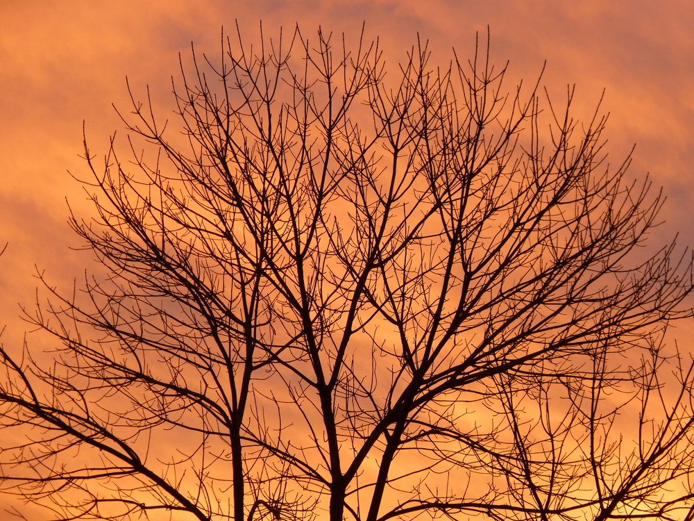 atardecer en Libertad
