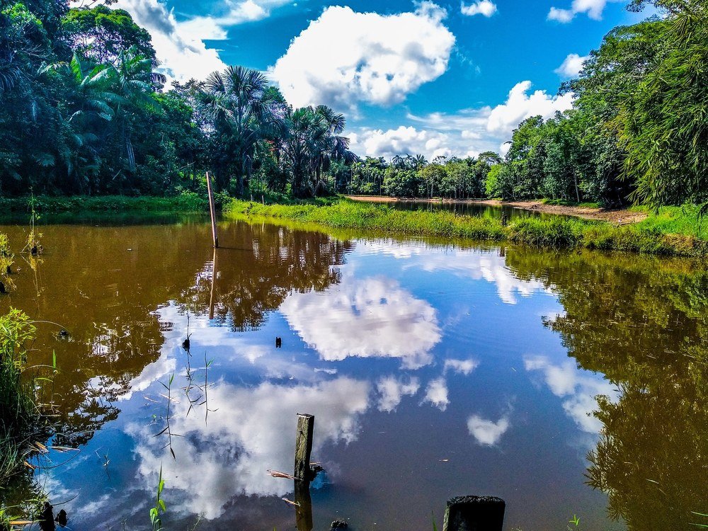 Photograph by Omar Marmanillo Prado