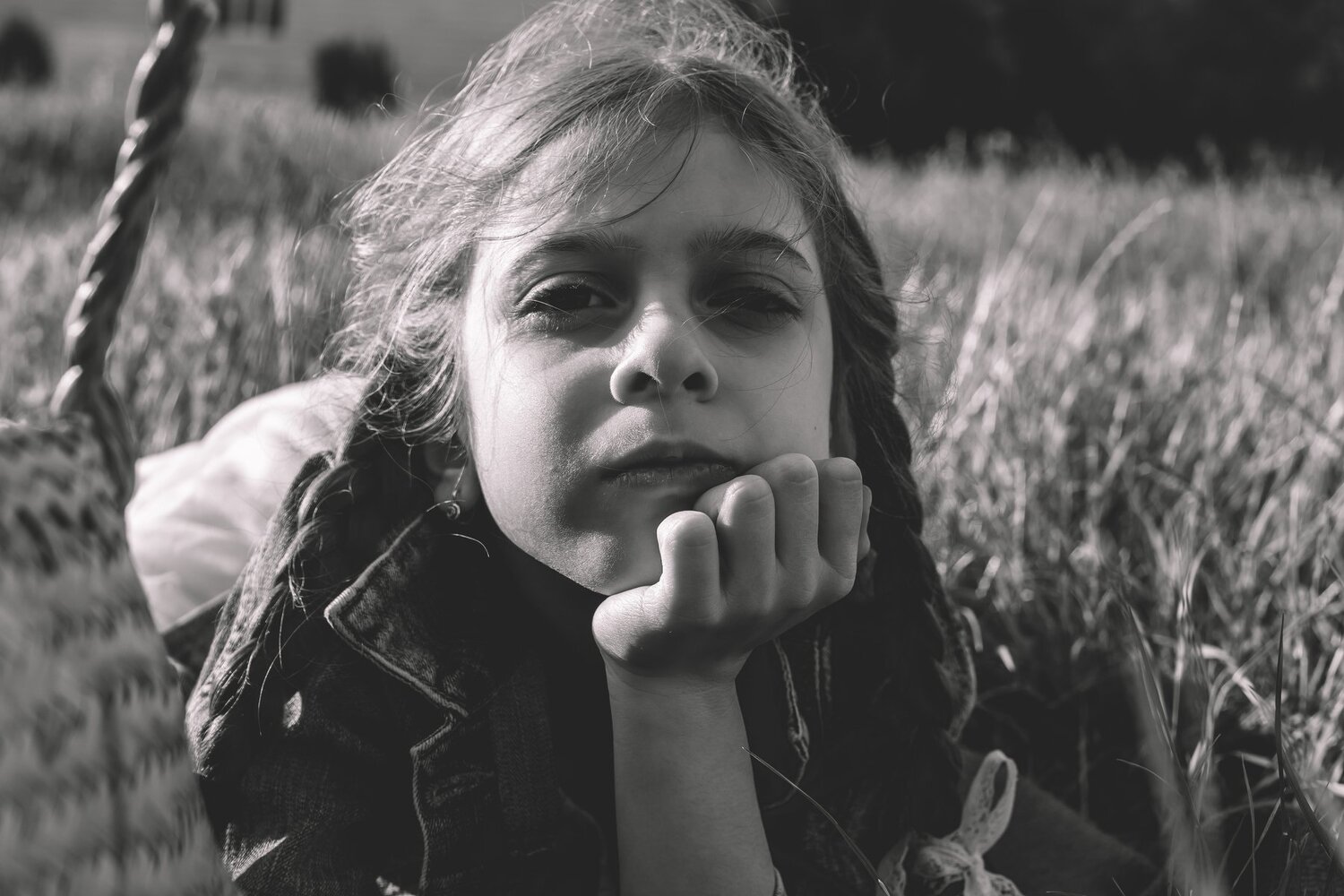 Photo #4632505