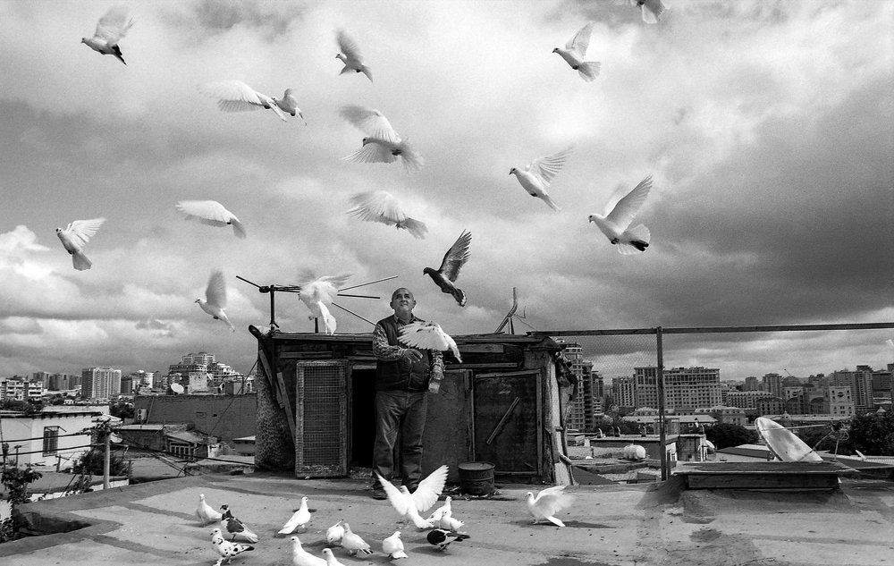 Photograph by Ilkin Yagubov