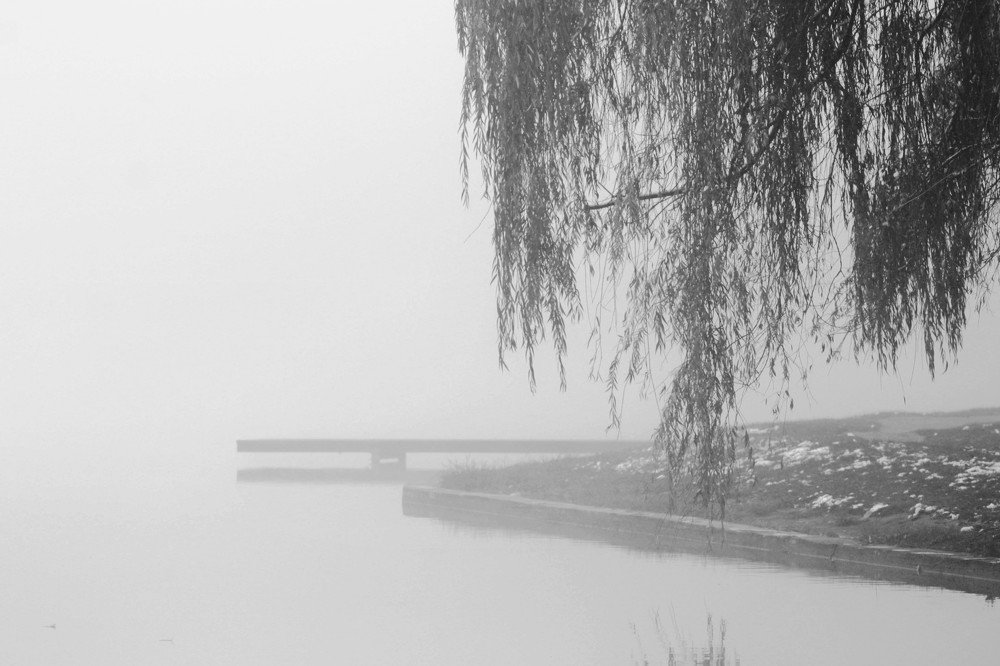 foggylake