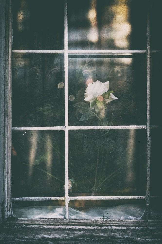 Beautul and fragile. Isolation.