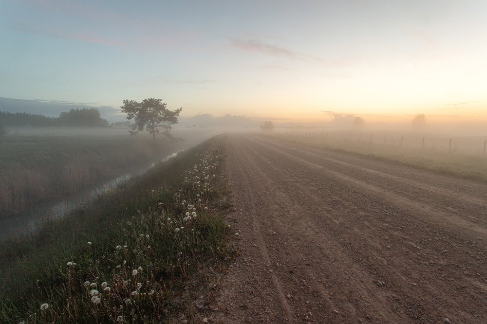 Photograph by Александр Клиновский