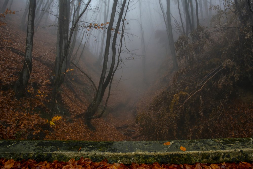 Photograph by  Dimitar