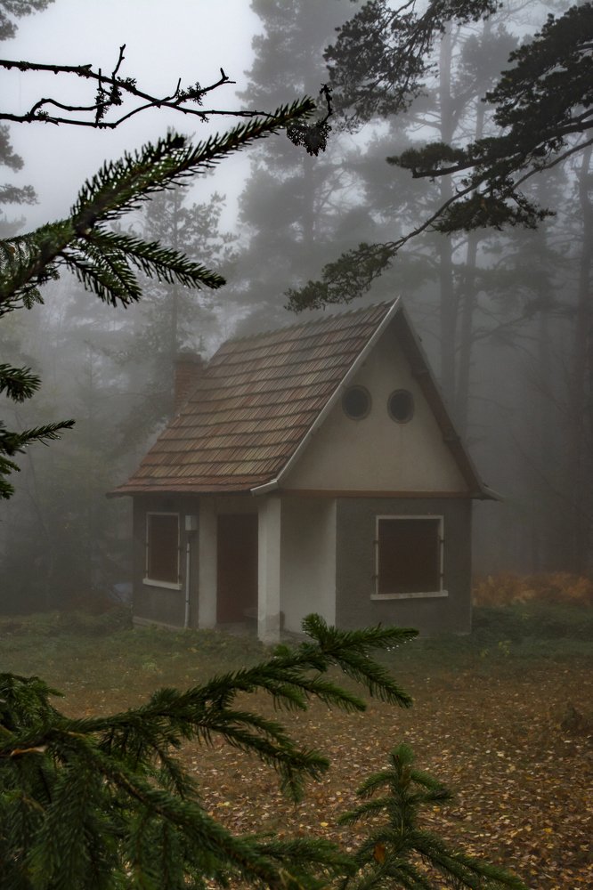 Photograph by  Dimitar