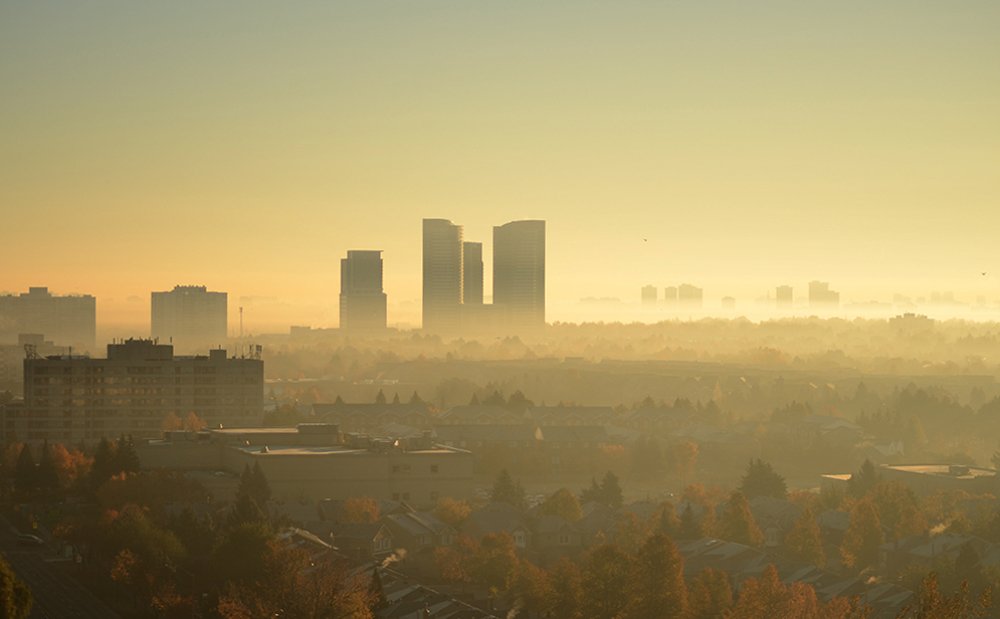 Photograph by Liliana Grup