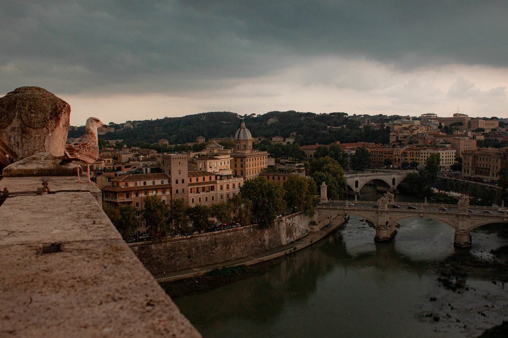 Пернатый гид