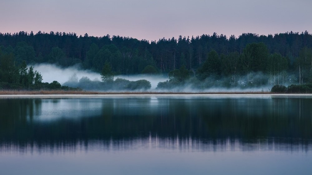 Photograph by Олег Борищенков