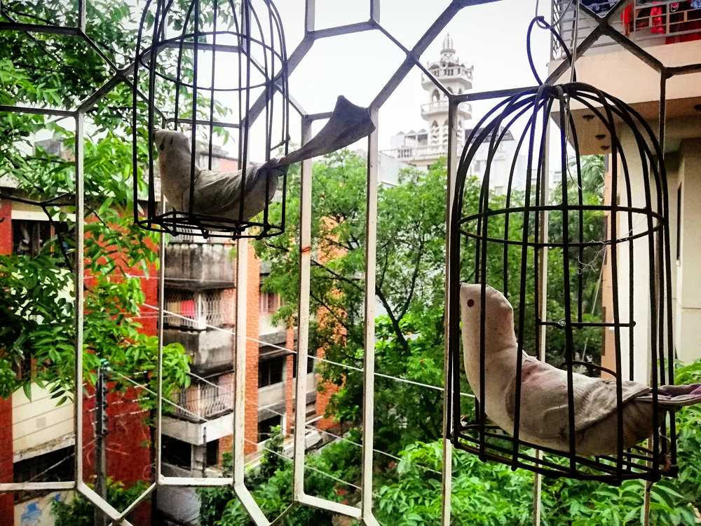 Photograph by Md Tohidur Rahman Muktadir