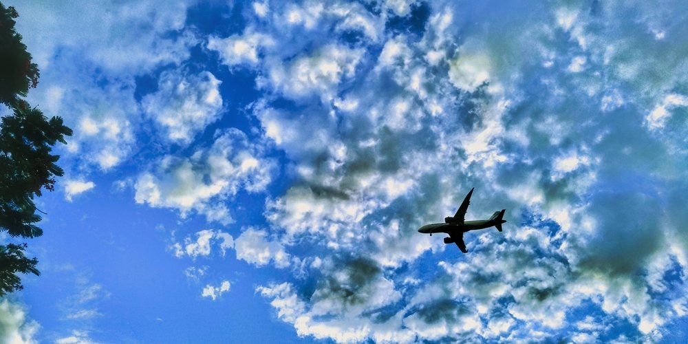 Fly high