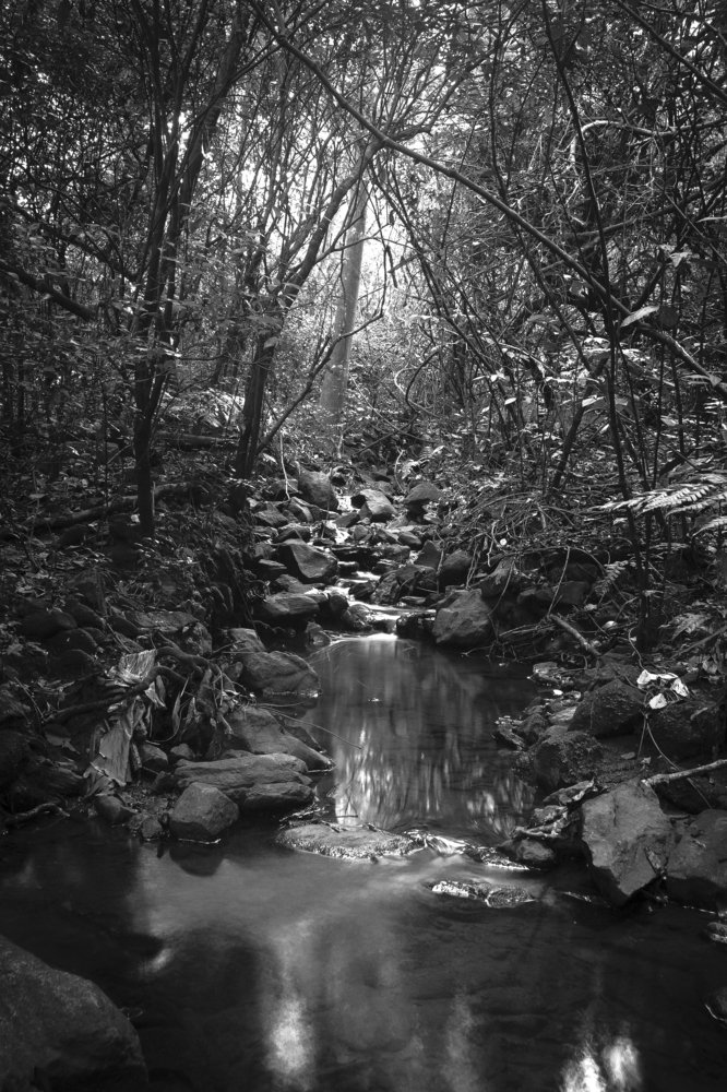 Photograph by Henrique Jahn