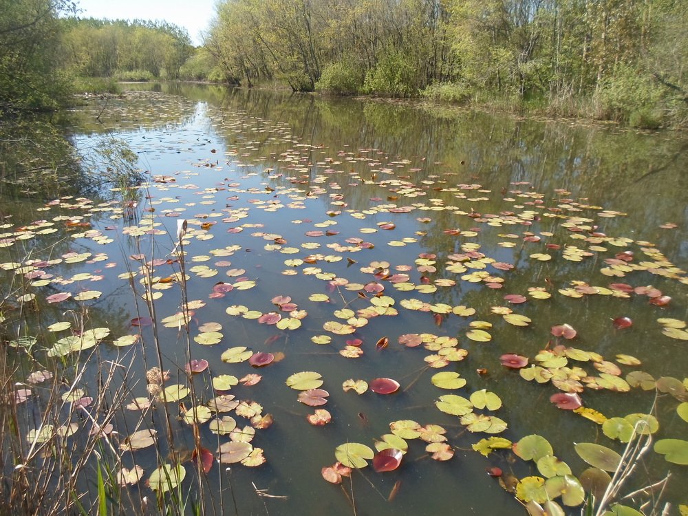 Photograph by Nuray Sinal