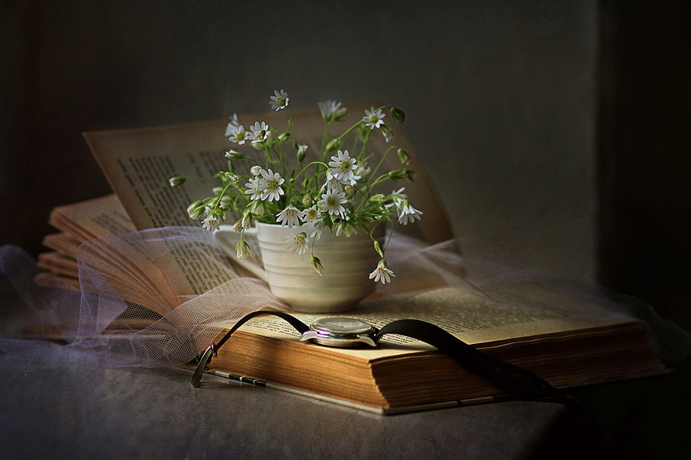 Photograph by Светлана Дерябина