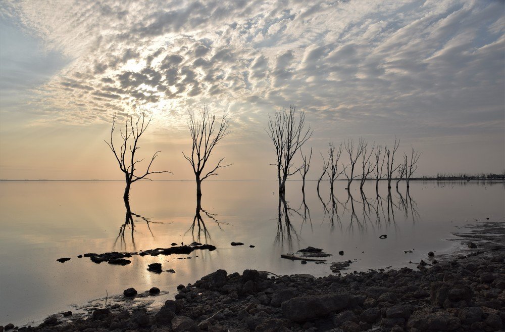 Photograph by Alfredo Jacquemard