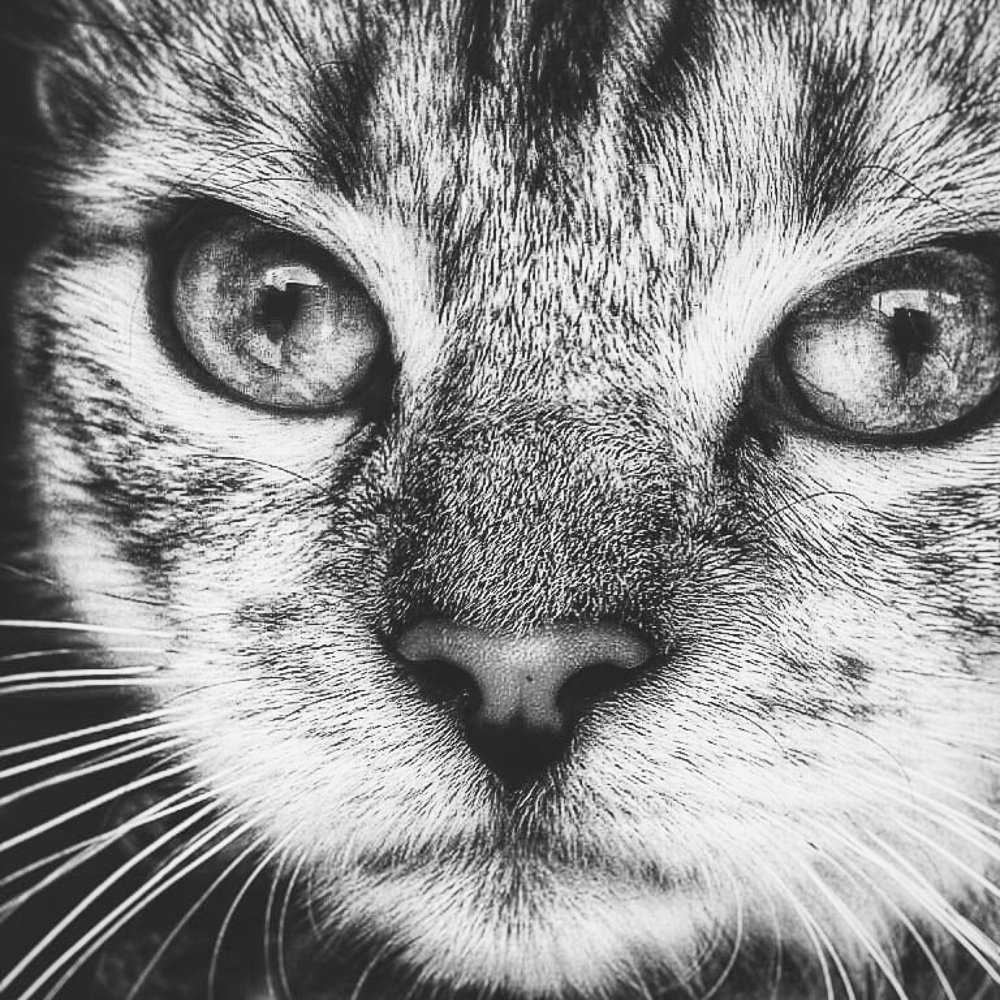 Photograph by Наталия Викторовна