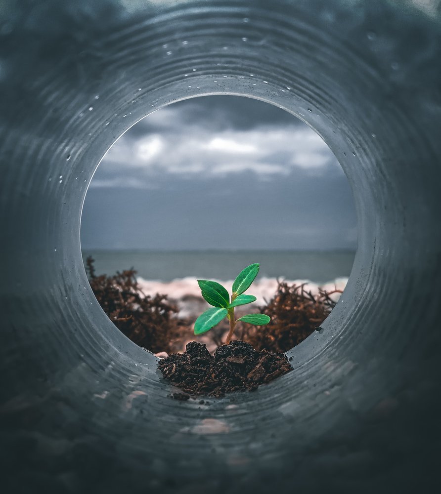 Photograph by Edrian Cabarles