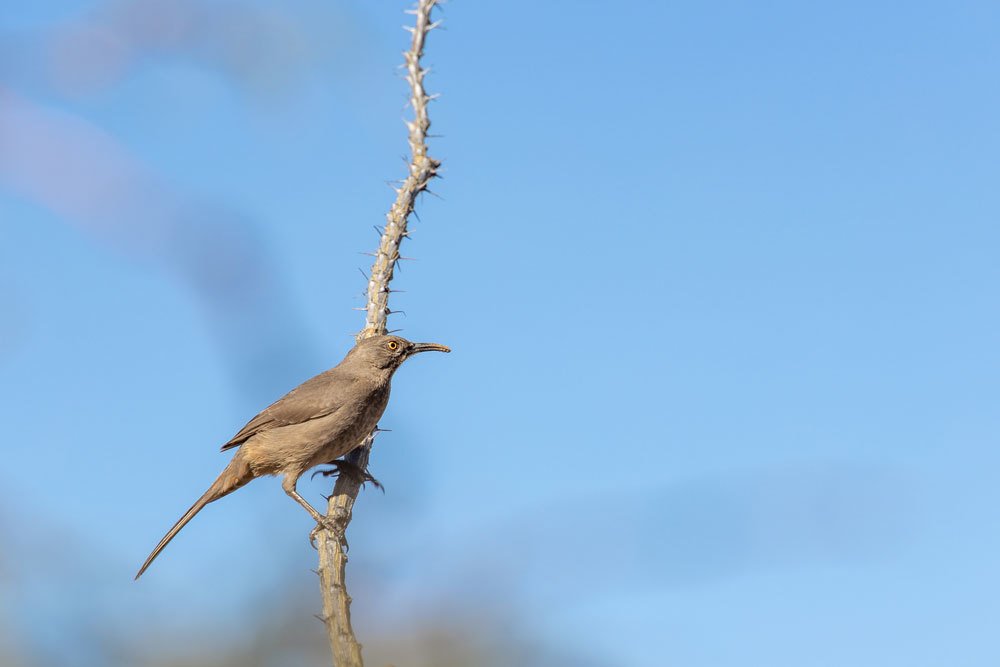 Photograph by Olga Serebryannaya