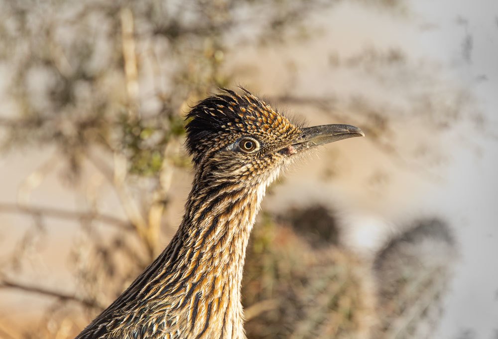 Photograph by Olga Serebryannaya