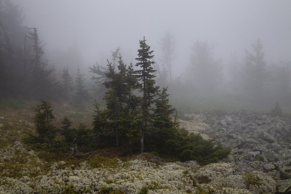 Photograph by Татьяна Каскевич